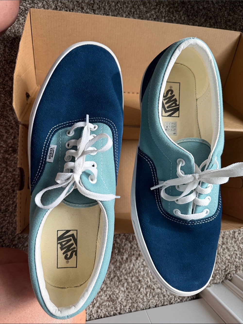 Vans Two-Tone Teal and Navy Canvas Sneakers